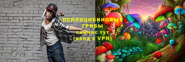 прущий лед Богородск
